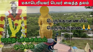 மகாபெரியவர் பெயர் வைத்த தலம் l மிகப்பெரிய மரகத பச்சை கல் முருகன் l பெருக்கரணை l முத்துசாமி சுவாமிகள்