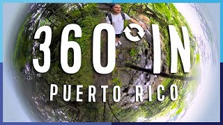 360 In Puerto Rico: El Yunque National Forest | Royal Caribbean