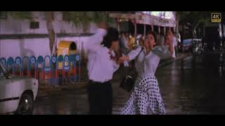 Seene Mein Dil Hai - (Raju Ban Gaya Gentleman) - (1992)