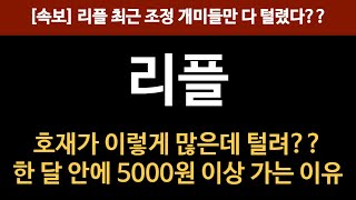 [리플] 리플 역사적 대시세 분출 나온다. 한 달 안에 5000원 이상 가는 이유