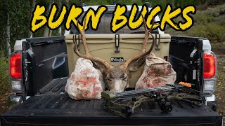 Bowhunting High Country Mule Deer | Burn Bucks 2