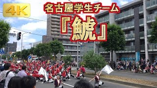 2019 6/9 名古屋学生チーム 鯱 平岸会場1パレ目 YOSAKOIソーラン祭り YOSAKOI SORAN Festival