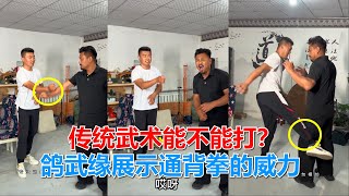 王洪祥寻找民间高手，传统武术能不能打？鸽武缘展示通背拳的威力