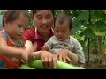 a rural woman harvests small winter melons and goes to the marketgarden life mountaingirl rurallife