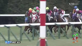 2022/02/20　スガオノママデ　未勝利戦