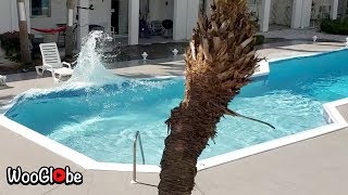 Swimming pool water goes crazy on 7.7 Magnitude Earthquake in Grand Cayman