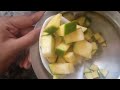 பைசா செலவில்லாமல் மாங்காய் சாலட் raw mango recipe raw mango oil salt chilly salad