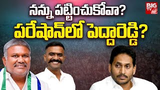 పెద్దారెడ్డి కి హ్యాండిచ్చారా? Kethireddy Peddareddy Future | JC Prabhakar Reddy | Tadipatri | BIGTV