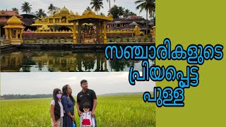 പുള്ളിന്റെ മനോഹാരിത / പുള്ളു പാടവും വഴിയോരക്കാഴ്ചകളും / തൃശ്ശൂരിന്റെ സ്വന്തം പുള്ള്