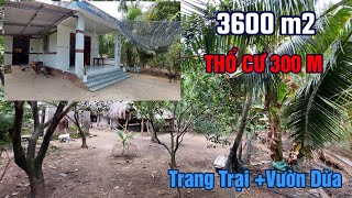 Mảnh Đất Có Nhà , Trang Trại , Vườn Dừa , Thuận lợi Chăn Nuôi , Nghĩ Dưỡng , Đường Oto , Xã Mỹ Thạnh