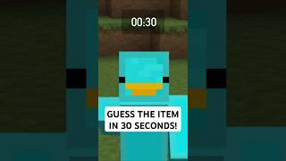 Guess the Skyblock Item in 30 seconds! #hypixel #skyblock #minecraft #shorts