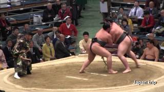 貴源治大麻使用?　明生 vs 貴源治 2017大相撲 大阪春場所5日目 Sumo Meisei vs Takagenji 2017 Osaka