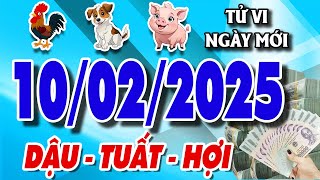 Tử vi tuổi DẬU - TUẤT - HỢI  ngày 10/02/2025 - Tài Lộc Đón Chờ | Tử Vi Việt TV