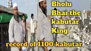 The kabutar King Bholu Bhai Quraishi 1100 kabutro ka record.. most popular kabutar baaz on YouTube