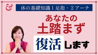 足のアーチって何？復活方法は？扁平足と開張足の違いは？体の基礎知識1・２