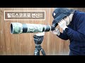 중고로 싸게 산 500mm 초망원 니콘 렌즈 leo80 레오80 cr500ex80e10h