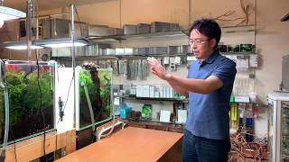 180cm水草水槽導入プロジェクト①「大型水槽の解体方法」～How to setup the 180cm aquarium 水草水槽メイキング