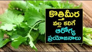 Coriander Water Benefits ఆరోగ్యానికి అమృతం   ధనియాల నీటితో ఆ సమస్యలన్నీ మటుమాయం