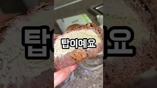 연세우유 피스타치오 크림빵과 멜론 크림빵 편의점 신상 소개