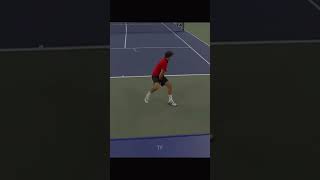 Federer's Insane Tweener vs Djokovic 🔥