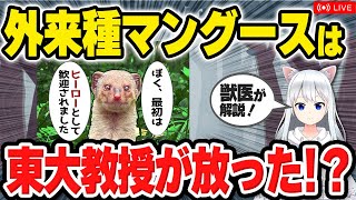 【獣医が解説】奄美大島で根絶！外来種・マングースは、元は東大教授が連れてきた!?【北国ここなの動物研究室】