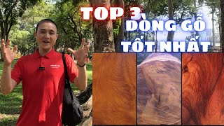 Top 3 Dòng Gỗ Tốt Nhất Bền Nhất Gỗ Gõ Đỏ đứng đầu  | Sơn Sập Gỗ