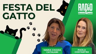 Umbria In Diretta: Festa del Gatto con Maria Chiara Catalani