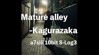 Mature alley -Kagurazaka　(Portrait Movie : SONY a7s3)