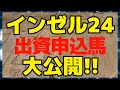 【インゼル】出資申し込み馬を紹介 【2024年度募集】