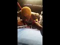 jimmy sweeney v melvin guillard bkb7 world middleweight bkb title fight full fight