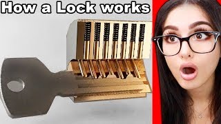 How Things Actually Work