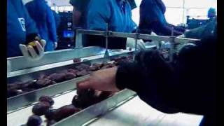 Fruit Sorting System