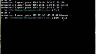 Moose: Testing the constructor
