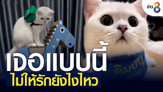 เจอแบบนี้ ไม่ให้รักยังไงไหว | ข่าวช่อง 8 | 2 มิ.ย. 65