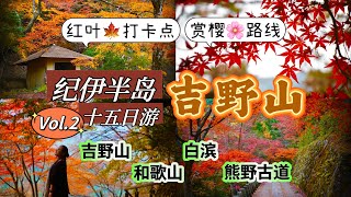 J人的奇妙旅行 | 日本纪伊半岛全攻略02 吉野山里的特种兵暴走一日全记录