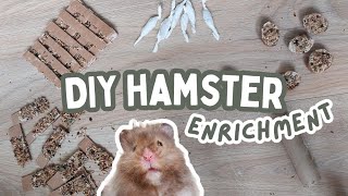 5 EASY DIY BOREDOM BREAKERS for your HAMSTER