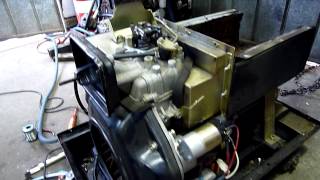 Nigata China Diesel Generator Update