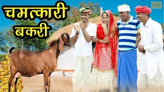 चमत्कारी बकरी 🤣 केसरा मंगल्या की मजेदार कॉमेडी || New Rajasthani Comedy || Hadoti Hariyanvi Comedy