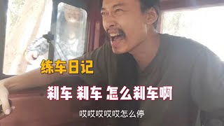 找不到车练习，邻居妹妹借车给我学，教我开车却忘记教我剎車#狗狗 # 铲屎官的乐趣 #萌宠日常记录 #萌宠 #樂浪星  #rescue dogs #dogvideos #wander #流浪#騎行