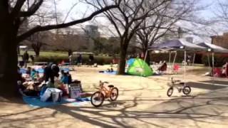 2017年3月25日　木場公園