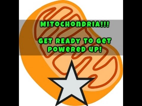 Mitochondria for Mayor! Mitochondria for Mayor!