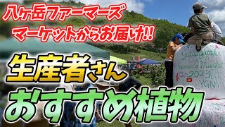 【長野県最大級の園芸イベント】八ヶ岳周辺の生産者さんオススメの植物をご紹介！【八ヶ岳ファーマーズマーケット】【園芸チャンネル】