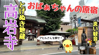 【とげぬき地蔵/高岩寺/TogenukiJizo】おばあちゃんの原宿にあるパワースポット！！【アヒルさんを探せ！】ご利益がある洗い観音も