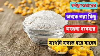 কর্নফ্লাওয়ারের অবাক করা কিছু  অজানা ব্যবহার যা জানলে আপনি অবাক হয়ে যাবেন ! uses of cornflower !