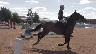 Gerania CSH Double Clear Foxhunter Arena UK 2019