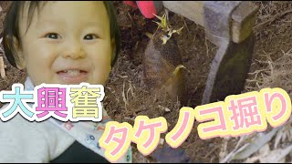 今が旬のタケノコを掘って採って食べる！１１ヶ月の赤ちゃんなぜか大興奮【育児Vlog】