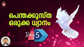 Waiting for the Holy Spirit. Day 5. Fr. Daniel Poovannathil