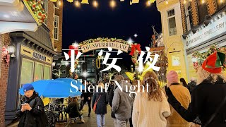 平安夜吉祥—-2014年温哥华的圣诞节🎄