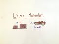 Momentum, Impulse, and Collisions (AP Physics 1)