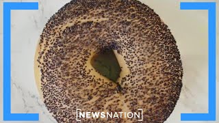 Poppy seed bagel suit: New Jersey moms sue hospitals over drug tests  |  On Balance